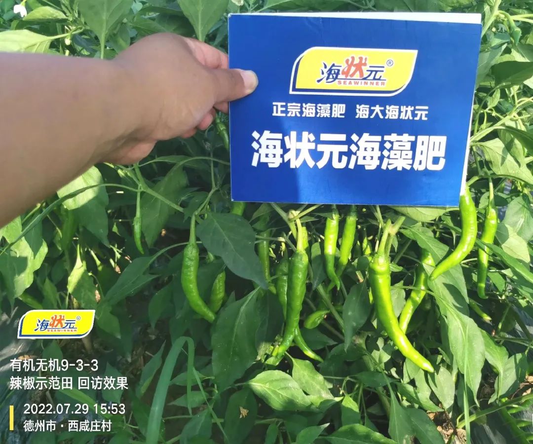 币游·国际(中国)最新官方网站